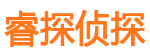 桐城外遇调查取证